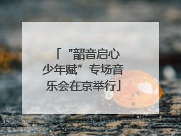 “韶音启心 少年赋”专场音乐会在京举行