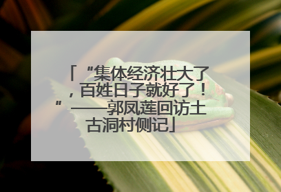 “集体经济壮大了，百姓日子就好了！”——郭凤莲回访土古洞村侧记