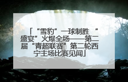 “雪豹”一球制胜 “盛宴”火爆全场——第二届“青超联赛”第二轮西宁主场比赛见闻