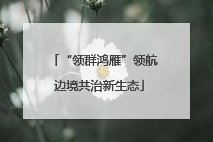 “领群鸿雁”领航边境共治新生态