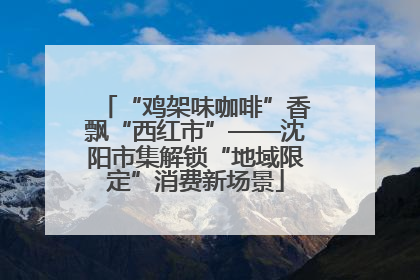 “鸡架味咖啡”香飘“西红市”——沈阳市集解锁“地域限定”消费新场景