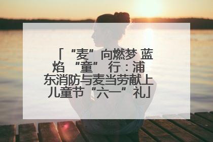 “麦”向燃梦 蓝焰 “童” 行：浦东消防与麦当劳献上儿童节“六一”礼