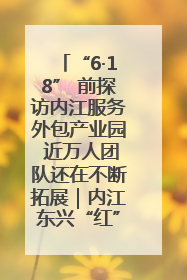 “6·18” 前探访内江服务外包产业园 近万人团队还在不断拓展｜内江东兴“红”在哪⑤