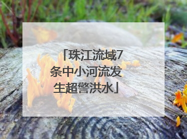 珠江流域7条中小河流发生超警洪水