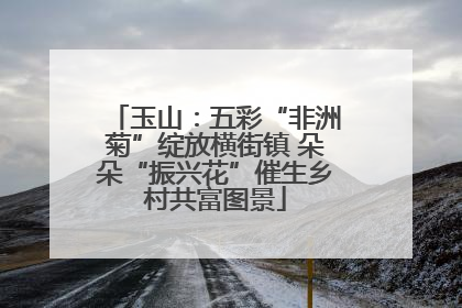 玉山：五彩“非洲菊”绽放横街镇 朵朵“振兴花”催生乡村共富图景