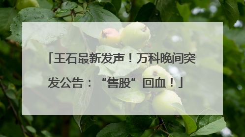 王石最新发声！万科晚间突发公告：“售股”回血！