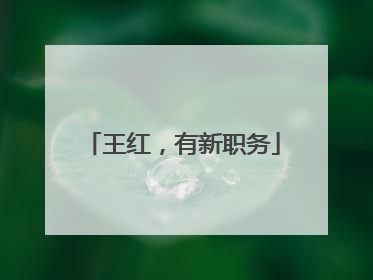 王红，有新职务