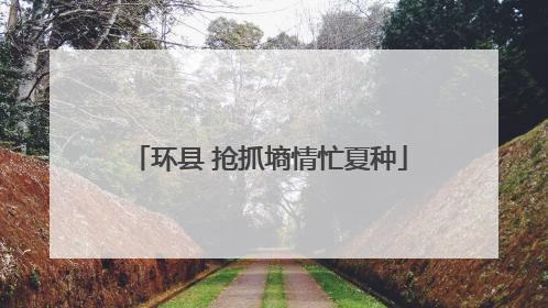环县 抢抓墒情忙夏种