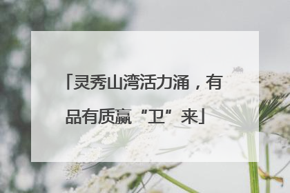 灵秀山湾活力涌，有品有质赢“卫”来