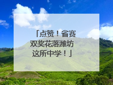 点赞！省赛双奖花落潍坊这所中学！