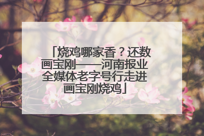 烧鸡哪家香？还数画宝刚——河南报业全媒体老字号行走进画宝刚烧鸡