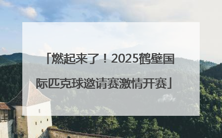 燃起来了！2025鹤壁国际匹克球邀请赛激情开赛