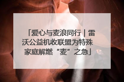 爱心与麦浪同行｜雷沃公益机收联盟为特殊家庭解燃“麦”之急