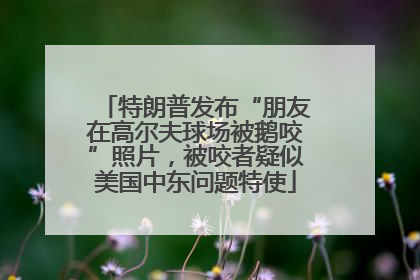 特朗普发布“朋友在高尔夫球场被鹅咬”照片，被咬者疑似美国中东问题特使