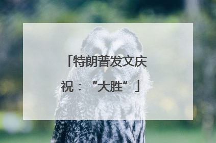 特朗普发文庆祝：“大胜”