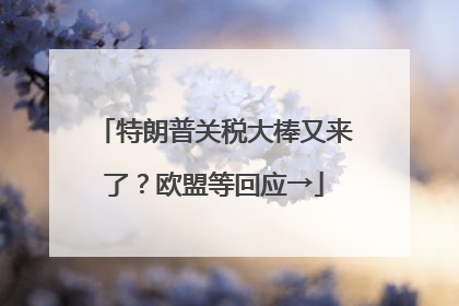 特朗普关税大棒又来了？欧盟等回应→