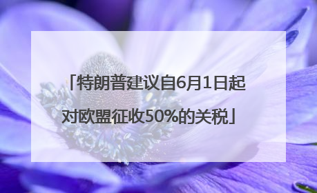 特朗普建议自6月1日起对欧盟征收50%的关税