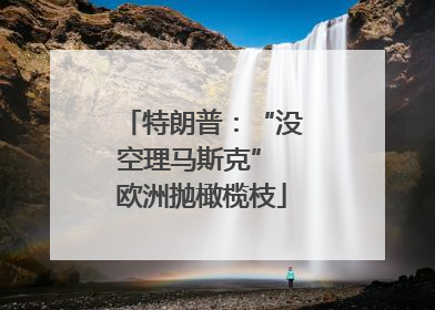 特朗普：“没空理马斯克” 欧洲抛橄榄枝
