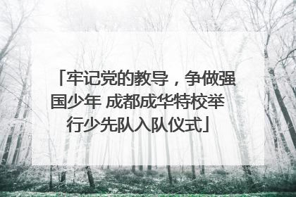 牢记党的教导，争做强国少年 成都成华特校举行少先队入队仪式