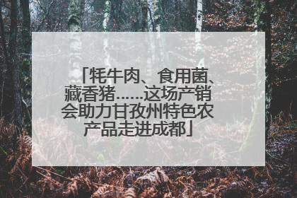 牦牛肉、食用菌、藏香猪……这场产销会助力甘孜州特色农产品走进成都