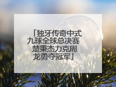 独牙传奇中式九球全球总决赛 楚秉杰力克周龙勇夺冠军