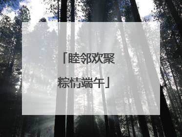 睦邻欢聚 粽情端午