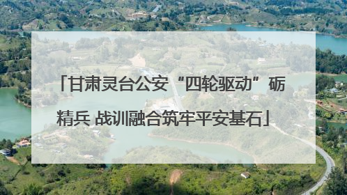 甘肃灵台公安“四轮驱动”砺精兵 战训融合筑牢平安基石