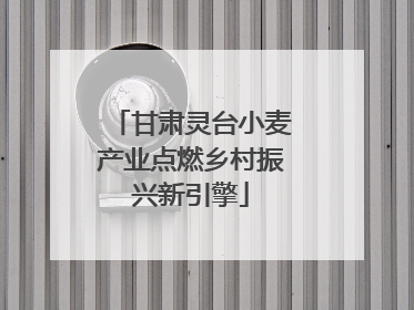 甘肃灵台小麦产业点燃乡村振兴新引擎