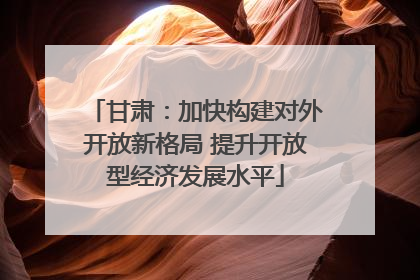 甘肃：加快构建对外开放新格局 提升开放型经济发展水平