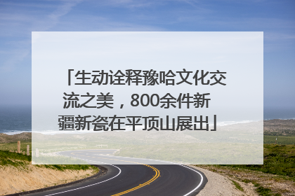 生动诠释豫哈文化交流之美，800余件新疆新瓷在平顶山展出