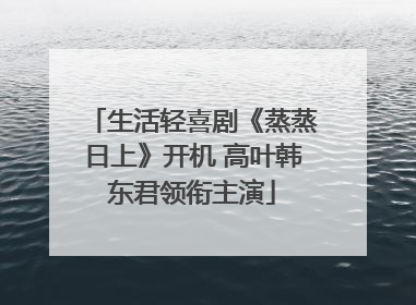 生活轻喜剧《蒸蒸日上》开机 高叶韩东君领衔主演