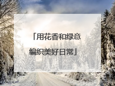 用花香和绿意编织美好日常