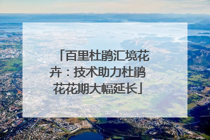 百里杜鹃汇境花卉：技术助力杜鹃花花期大幅延长