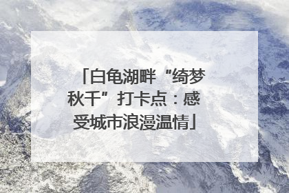 白龟湖畔“绮梦秋千”打卡点：感受城市浪漫温情