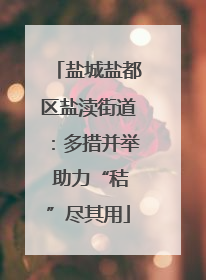 盐城盐都区盐渎街道：多措并举 助力“秸”尽其用