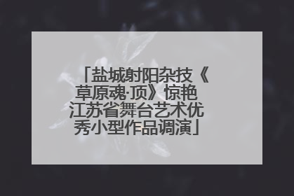 盐城射阳杂技《草原魂·顶》惊艳江苏省舞台艺术优秀小型作品调演