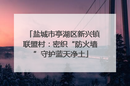 盐城市亭湖区新兴镇联盟村：密织“防火墙”守护蓝天净土