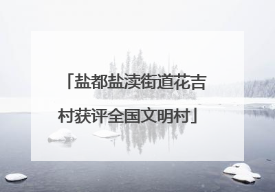 盐都盐渎街道花吉村获评全国文明村