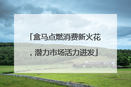 盒马点燃消费新火花，潜力市场活力迸发