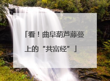 看！曲阜葫芦藤蔓上的“共富经”