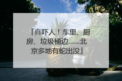 真吓人！车里、厨房、垃圾桶边……北京多地有蛇出没