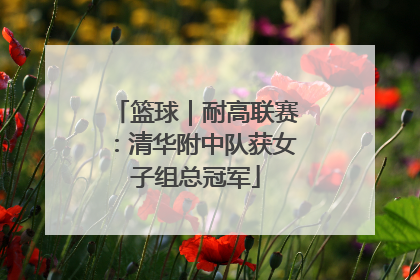 篮球｜耐高联赛：清华附中队获女子组总冠军