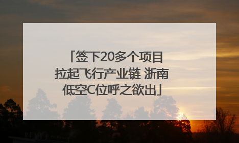 签下20多个项目 拉起飞行产业链 浙南低空C位呼之欲出