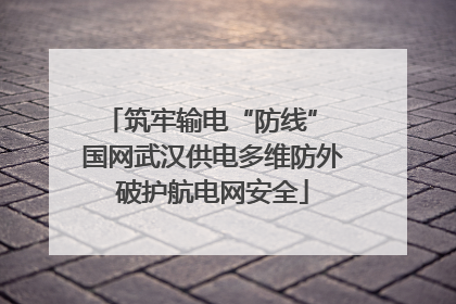 筑牢输电“防线” 国网武汉供电多维防外破护航电网安全