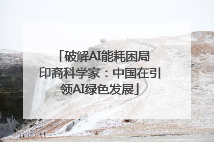破解AI能耗困局 印裔科学家：中国在引领AI绿色发展