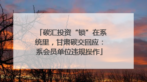 碳汇投资“锁”在系统里，甘肃碳交回应：系会员单位违规操作