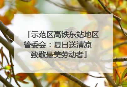 示范区高铁东站地区管委会：夏日送清凉 致敬最美劳动者