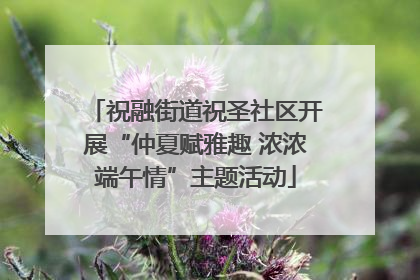 祝融街道祝圣社区开展“仲夏赋雅趣 浓浓端午情”主题活动