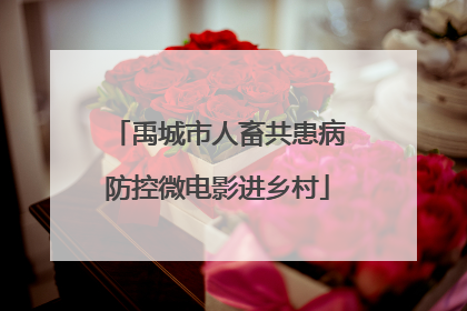 禹城市人畜共患病防控微电影进乡村