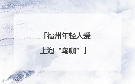 福州年轻人爱上泡“鸟咖”